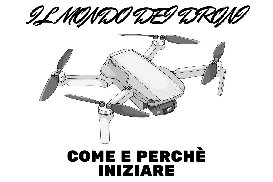 IL MONDO DEI DRONI